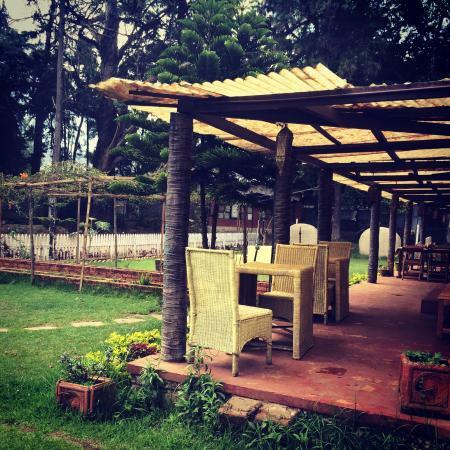The Tredis Tea Room